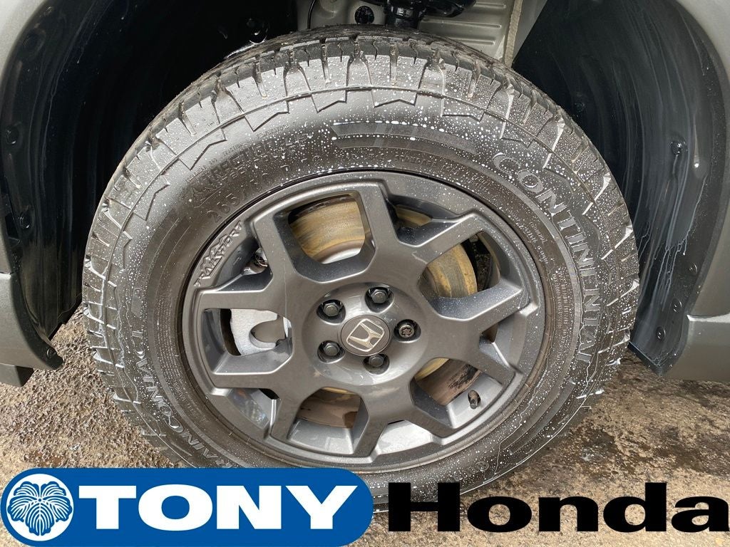 2025 Honda Pilot TrailSport