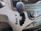 2013 Toyota Sienna LE Mobility Auto Access